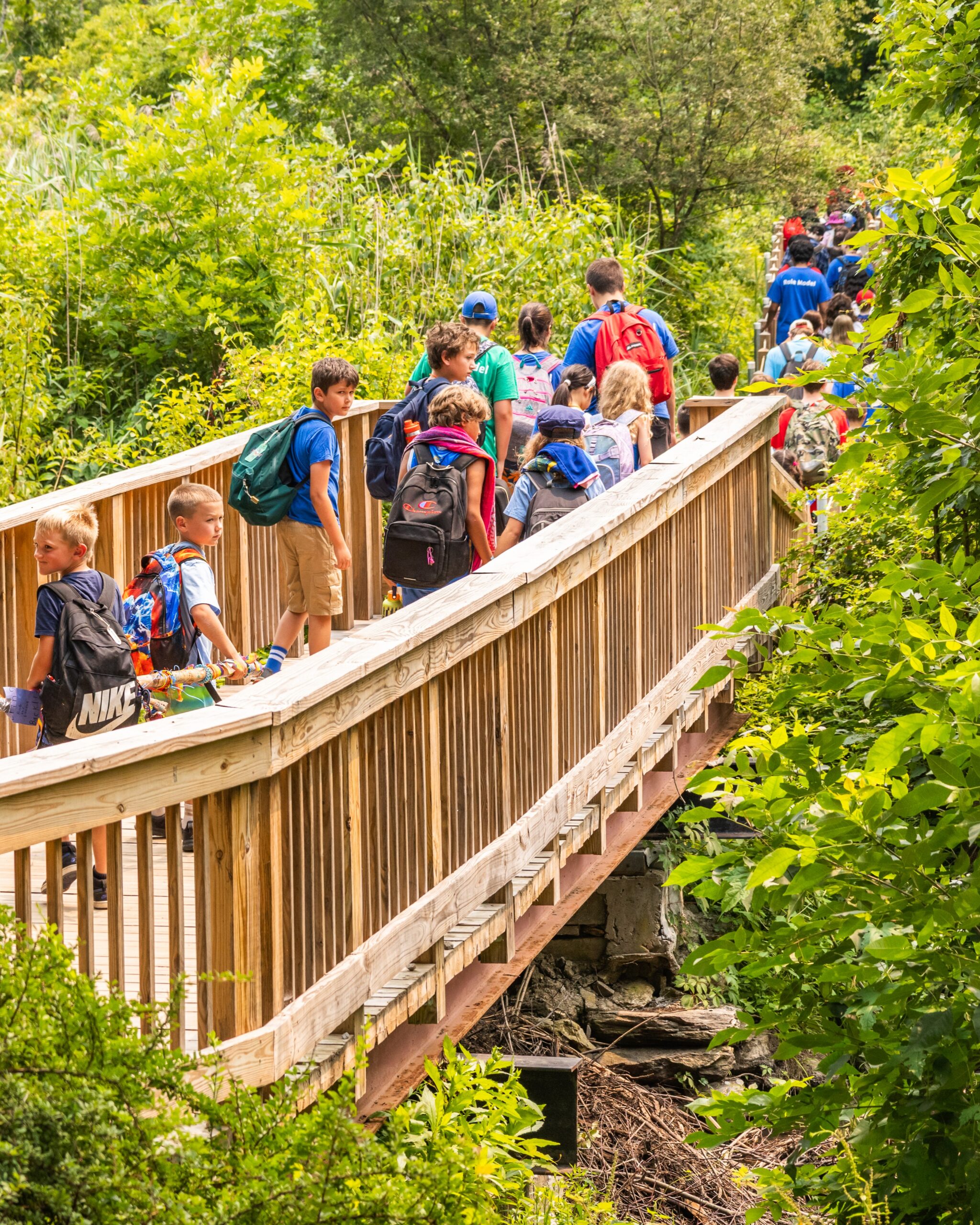 Camp combe wk 3 26 Boardwalk