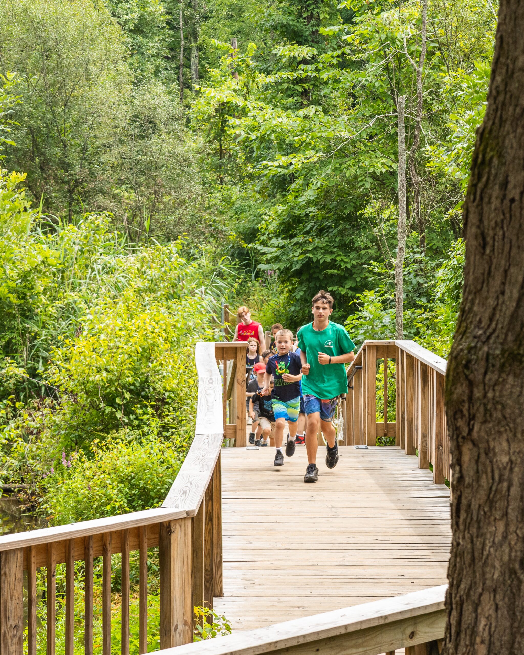 YMCA camp combe wk 7 boardwalk