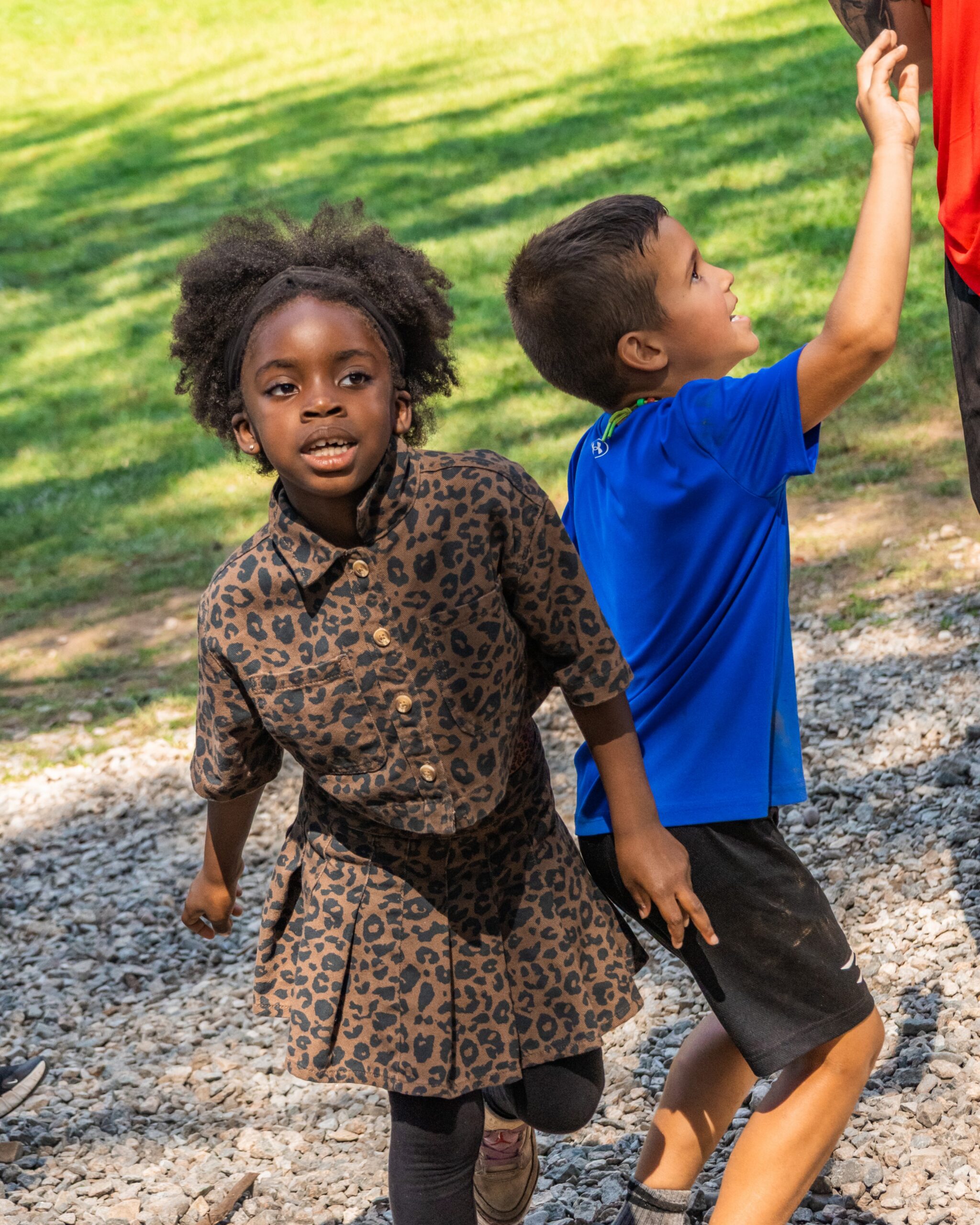 YMCA camp combe wk 8 jungle cheetah