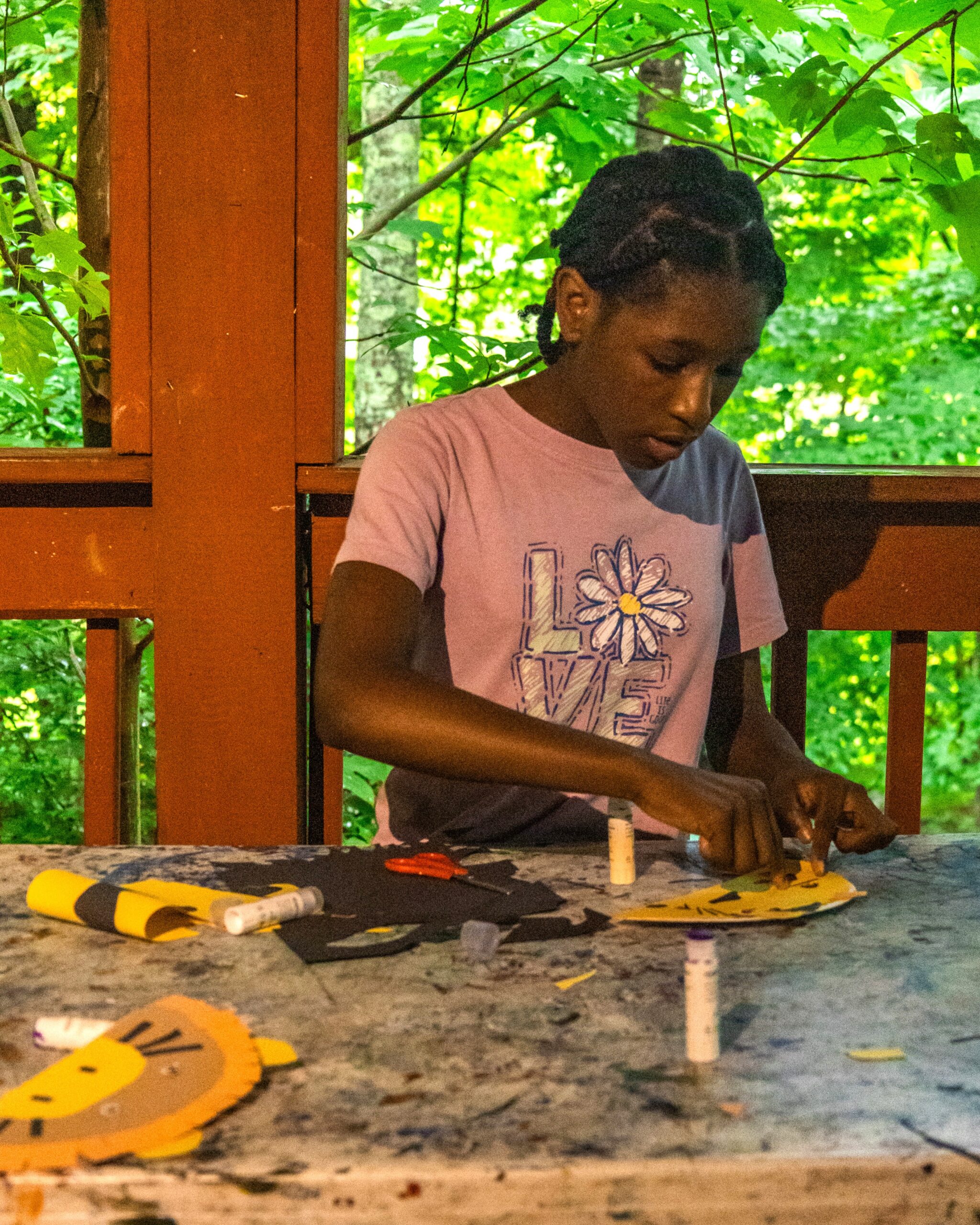 YMCA camp combe wk 8 lion art